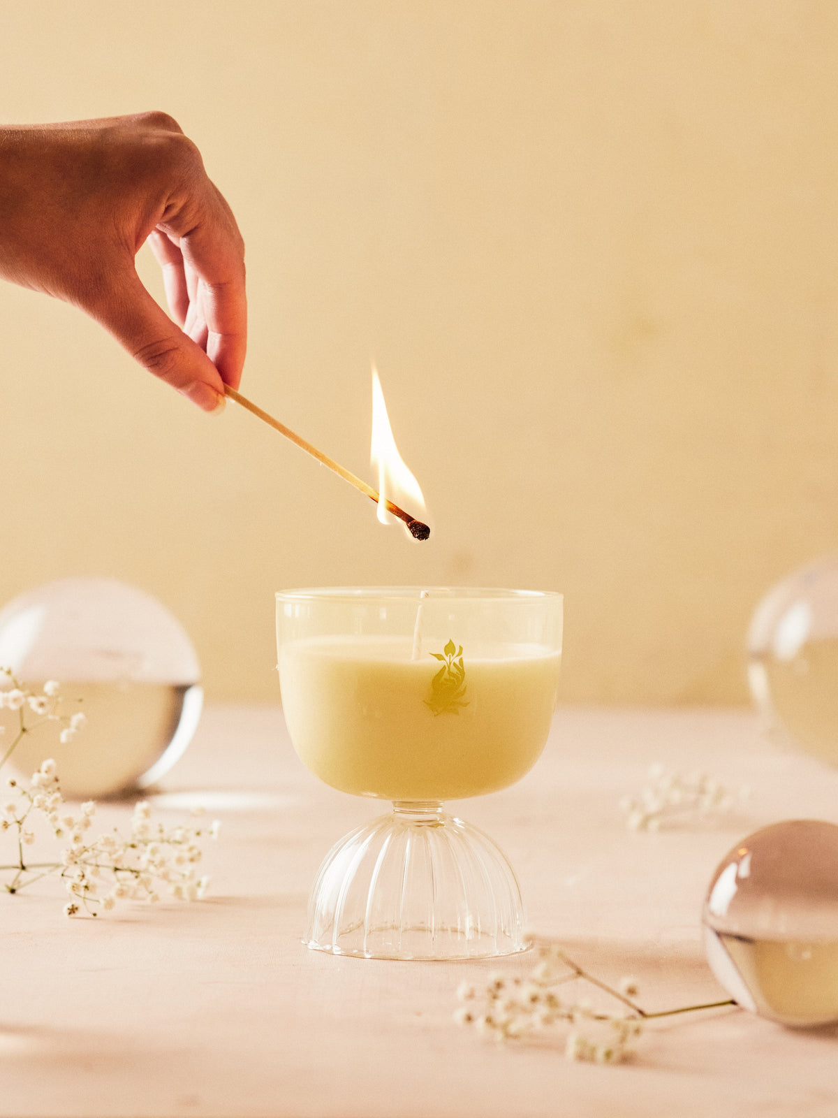 Rewined Mimosa Candle 6 oz